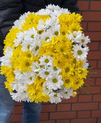 Купить букет из разноцветных хризантем с доставкой по Волгограду